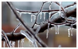 میدانی علاقوں میں دھند، پہاڑوں میں یخ بستہ موسم، بلوچستان میں درجہ حرارت منفی