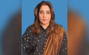 جعلی آرڈیننس لاکر صدر زرداری کے ساتھ باریک واردات ڈالی گئی، پلوشہ خان