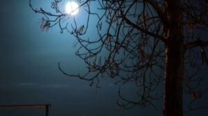 سنا ہے کہ سب زخم بھر جائیں گے۔۔۔