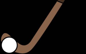 پاکستان سپورٹس بورڈ نے پاکستان ہاکی فیڈریشن کو نوٹس جاری کردیا