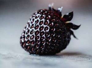 جاپان کی مہنگی ترین سفید اسٹرابیری وائٹ جیول کے بعد چین کی بلیک پرل اسٹرابیری نے پھلوں کی مارکیٹ میں تہلکہ مچا دیا