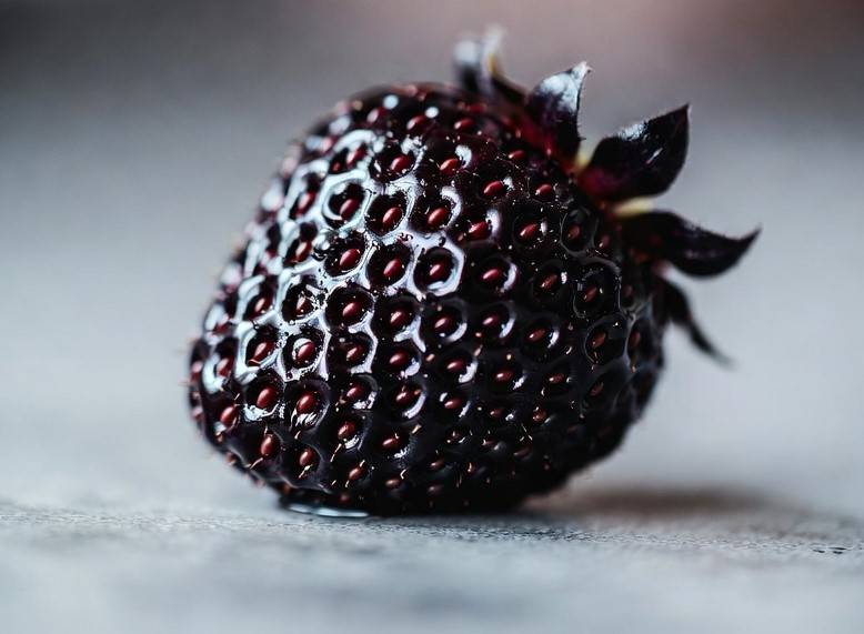 جاپان کی مہنگی ترین سفید اسٹرابیری وائٹ جیول کے بعد چین کی بلیک پرل اسٹرابیری نے پھلوں کی مارکیٹ میں تہلکہ مچا دیا