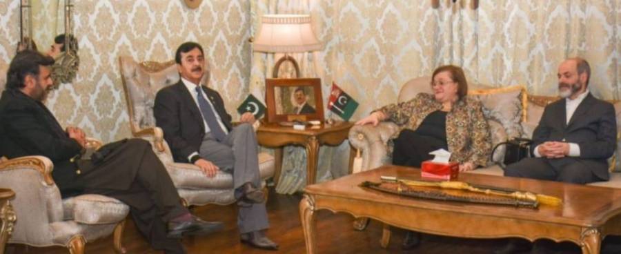 چیئرمین سینیٹ سے پاکستان میں تعینات اٹلی کی سفیر مریلینا آرمیلن کی قیادت میں وفد کی ملاقات