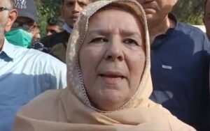 عمران خان کی بڑی سیاسی خدمت متوسط طبقے سے تعلق رکھنے والی قیادت کو آگے بڑھانا ہے، ایسی قیادت جس نے اشرافیائی کرپشن سسٹم کا حصہ بننے سے انکار کیا، نورین نیازی