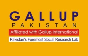 غزہ کی صورتحال کے بارے میں پاکستانی عوام کیا رویہ رکھتے ہیں؟۔؟گیلپ نے عوامی سروے کے نتائج جاری کر دیئے