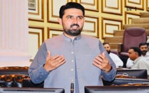 پاکستان کی سب سے بڑی سیاسی جماعت کا لیڈر اس وقت تکلیف میں ہے، ہمارے پاس آپشنز ہیں جس پر غور کیا جا رہا ہے، سہیل آفریدی