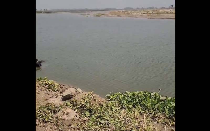 دریائے راوی میں مبینہ طور پر خاتون نے 2 بچوں کے ساتھ چھلانگ لگا دی