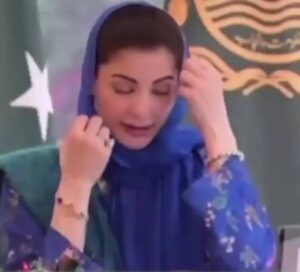 پنجاب حکومت کے پاس ایک مضبوط اور مستند ڈیٹا بیس موجود ہے، مریم نواز