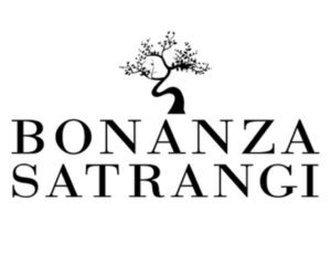 بونانزا سترنگی کی سی ای او کو ایرانی سپریم لیڈر کے خلاف نازیبا ریمارکس پر قانونی نوٹس جاری