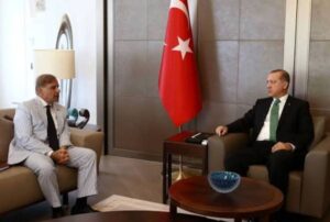 اردوان کا پاکستان کے وزیر اعظم شہباز شریف سے ٹیلیفون پر رابطہ