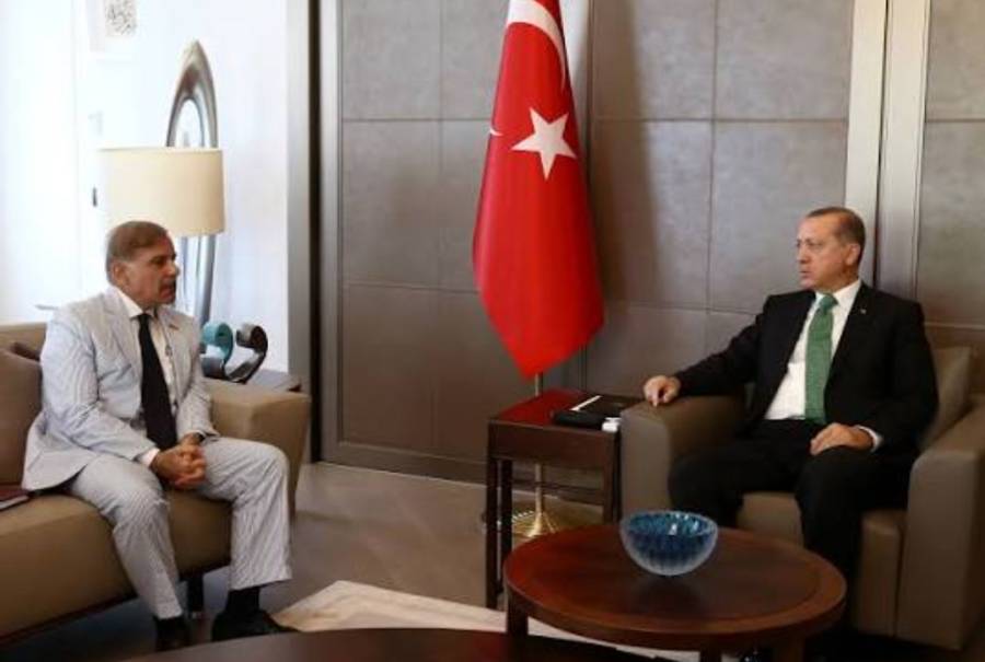 اردوان کا پاکستان کے وزیر اعظم شہباز شریف سے ٹیلیفون پر رابطہ