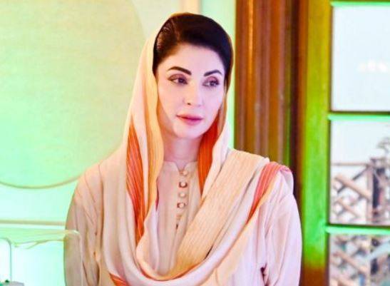 وزیراعلیٰ پنجاب کی زیرصدارت ایپکس کمیٹی کا اجلاس، صوبے میں امن وامان اور غیر قانونی طور پر مقیم افغان باشندوں کے انخلا پر پیش رفت کا جائزہ