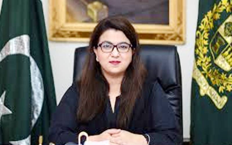 رواں سال 5 شہروں میں فائیو جی سروس یقینی بنائیں گے، شزا فاطمہ