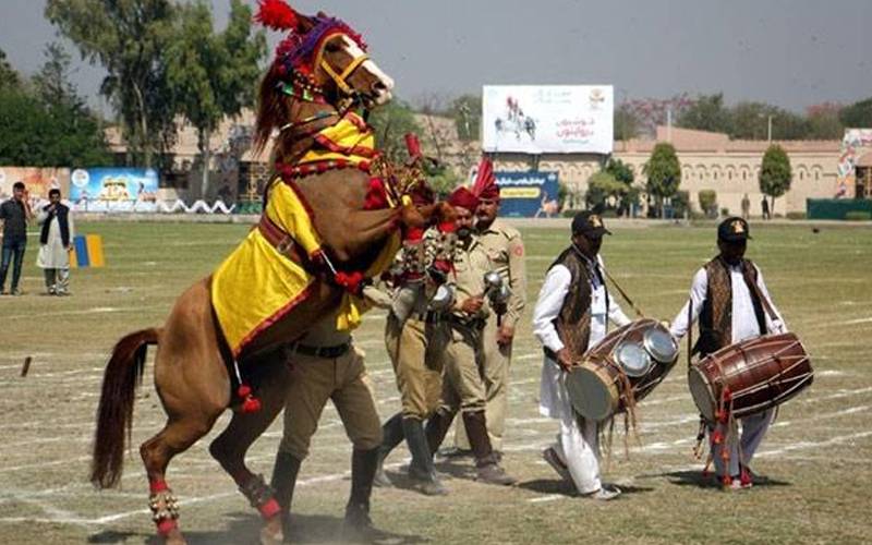 ہارس اینڈ کیٹل شو تقریبات پر 1 ارب 90 کروڑ روپے کا تخمینہ