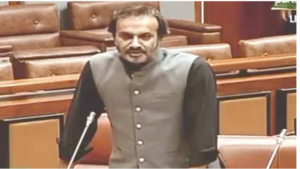 معاشی ناکامی کا ذمہ دار ہمیشہ عوام ہوتے ہیں، سینیٹر عون عباس بپی