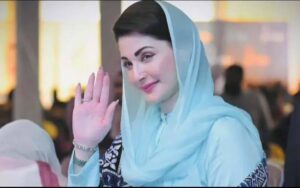 وزیراعلیٰ پنجاب نے سی سی ڈی کو ناجائز اسلحہ کے خاتمے کا ٹاسک سونپ دیا