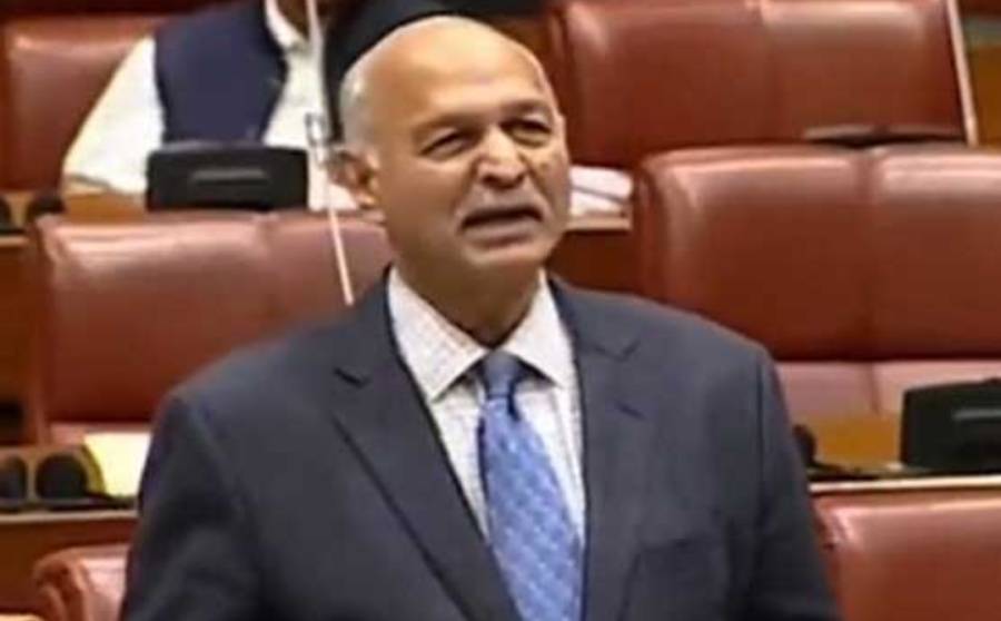 پاکستان کے لیے سب سے بڑا معاشی موقع: اشرافیہ جو ملک چھوڑ گئی ہے، ان کے لیے عام معافی کا اعلان کیا جائے، مشاہد حسین سید