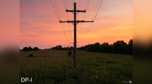 پشاور الیکٹرک سپلائی کمپنی میں ہفتے میں 4 دن ڈیوٹی، گاڑیوں کے ایندھن میں 50 فیصد کمی کا فیصلہ