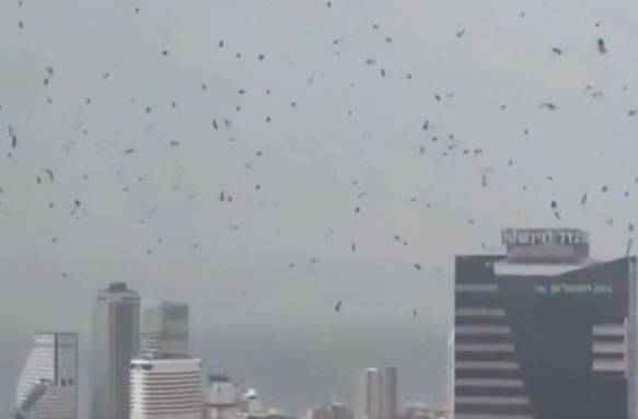تل ابیب کے آسمانوں پر کوؤں کے جھنڈ منڈلانے لگے، سوشل میڈیا پر ویڈیو وائرل