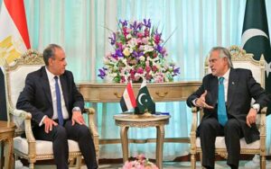 پاکستان اور مصر کا مشترکہ وزارتی کمیشن فعال بنانے پر اتفاق، تجارت کے فروغ پر زور
