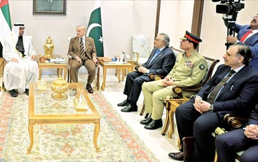 دسمبر میں محمد بن زاید کے بڑے استقبال کی تیاری تھی لیکن وہ ایئرپورٹ سے چلے گئے، پروفیسر اشتیاق کا انکشاف