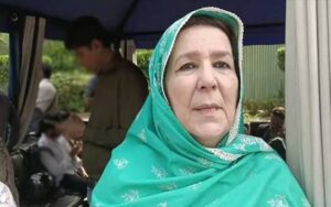 پی ٹی آئی نے حکومت کو ریلیف دلوانے کیلئے جلسہ منسوخ کرایا، نورین خان