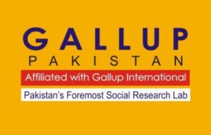 93 فیصد عوام نے جنگ بندی کی کوششوں میں پاکستان کے ثالثی کے کردار کی حمایت کی، گیلپ سروے
